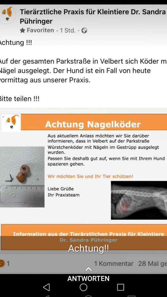 Giftköder-Wurststücke mit Nägel-Profilbild