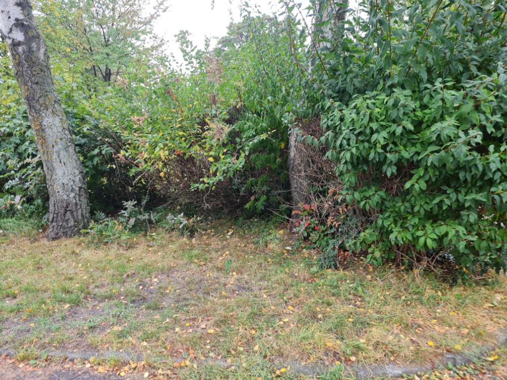 Giftköder-Fleischstücke!-Profilbild