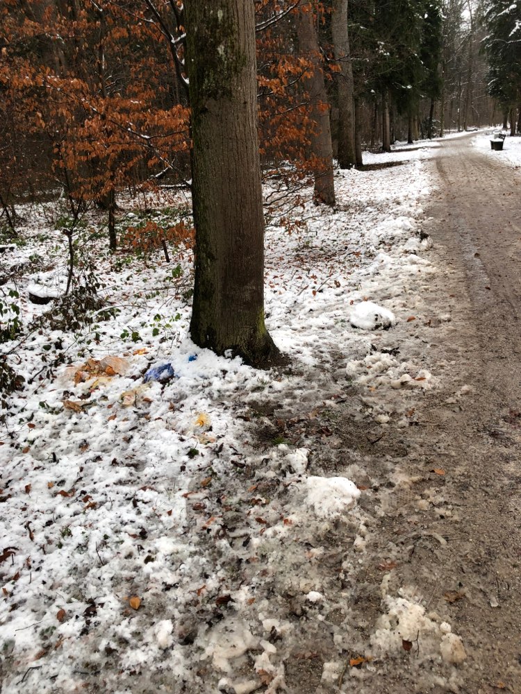 Giftköder-Ausgelegte Essensreste-Profilbild