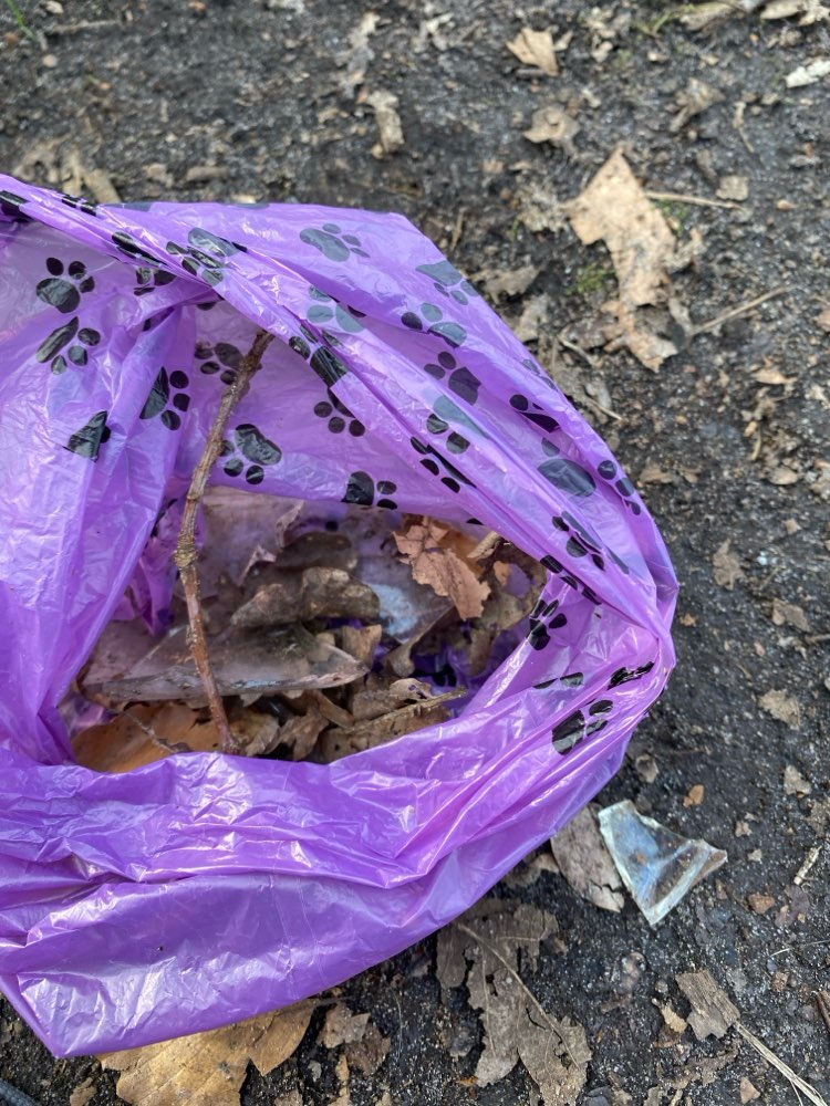 Giftköder-Glasscherben-Profilbild