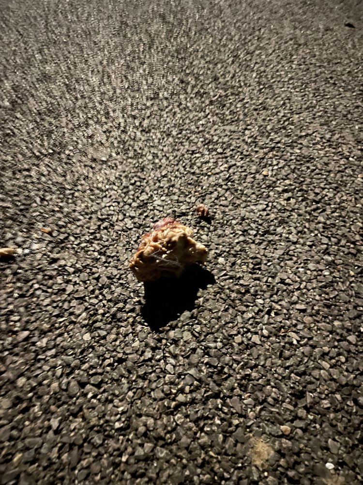 Giftköder-Fleisch Reste mit Knochen-Profilbild