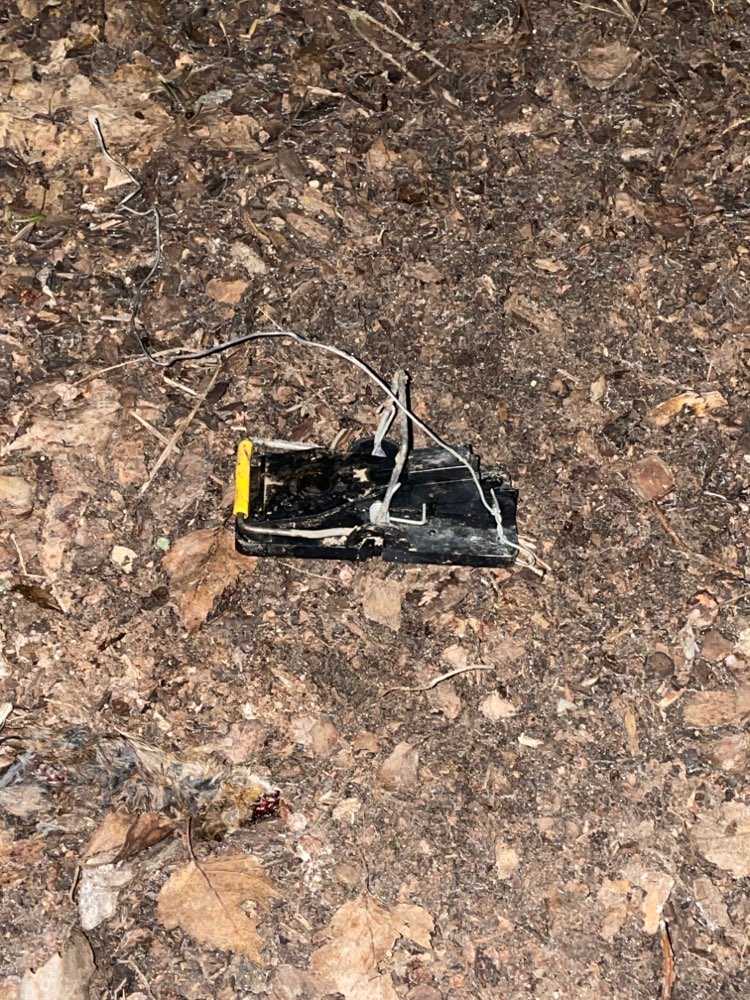 Giftköder-Gefahr-Profilbild