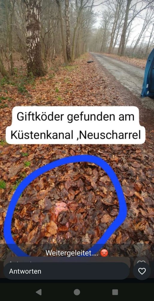 Giftköder-Giftköder in Neuscharrel am Küstenkanal-Profilbild