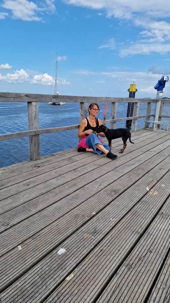 Hundetreffen-Welpentreff-Profilbild