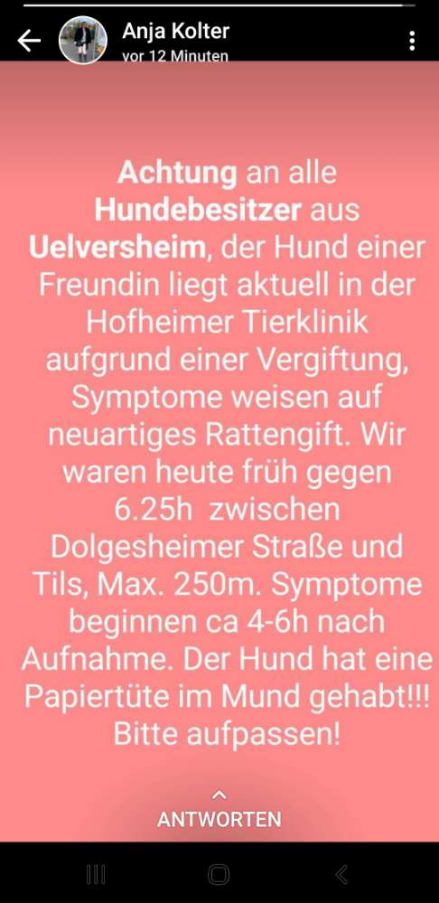 Giftköder-Rattengift-Profilbild