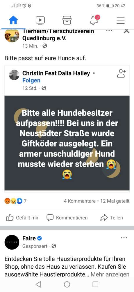 Giftköder-Giftköder-Profilbild