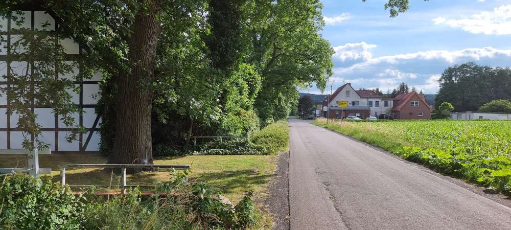 Giftköder-Eichenprozessionsspinner Hasbergen-Profilbild