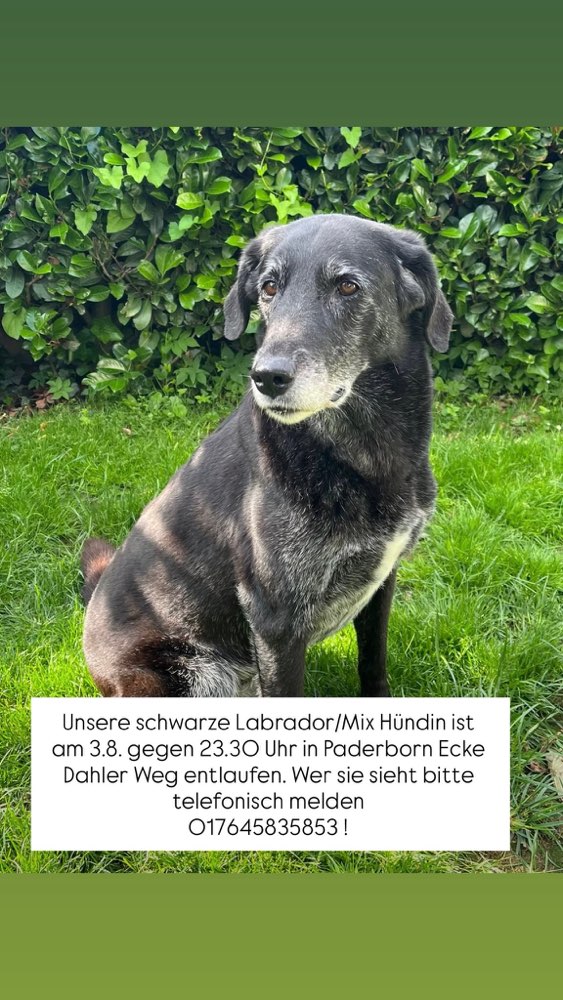 Suchmeldung-Dori-Profilbild