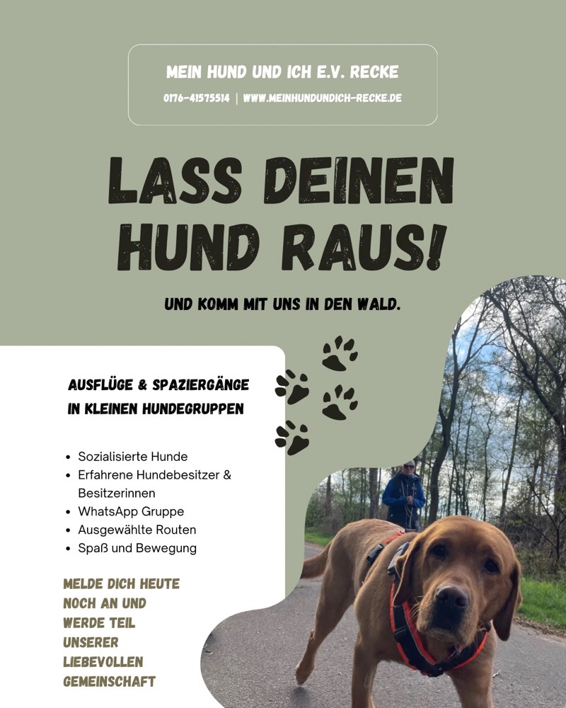 Hundetreffen-Social Walk 🐾 Von Hund zu Hund – von Mensch zu Mensch 🐾-Profilbild