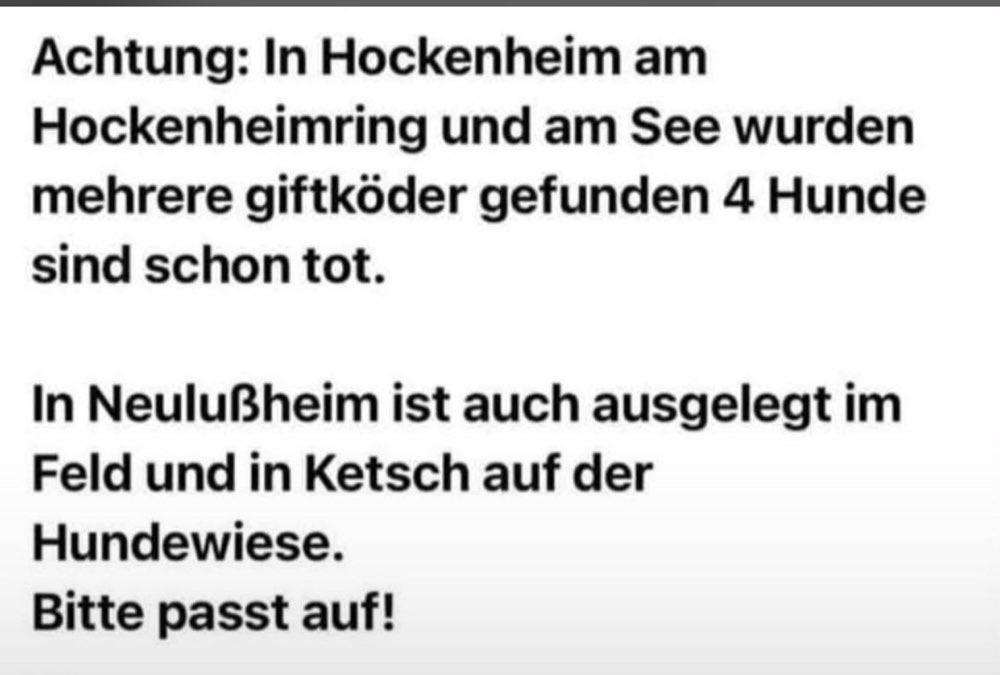 Giftköder-Giftköder-Profilbild