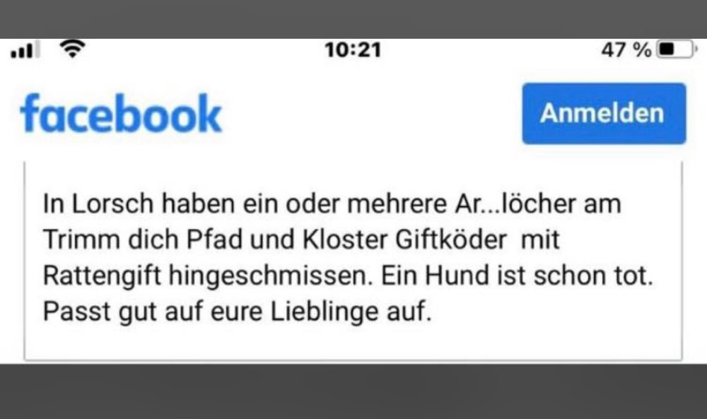 Giftköder-Gift-Profilbild