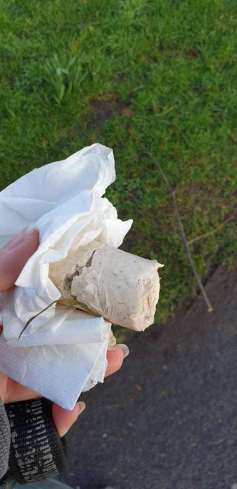 Giftköder-Möglicher Giftköder-Profilbild