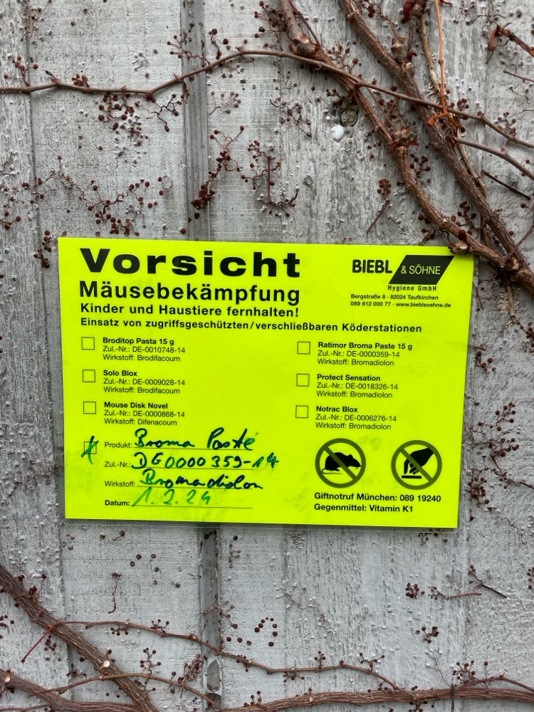 Giftköder-Mäusebekämpfung-Profilbild