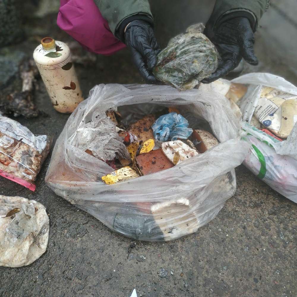 Giftköder-Große Mengen Fleisch und Gedärms-Profilbild