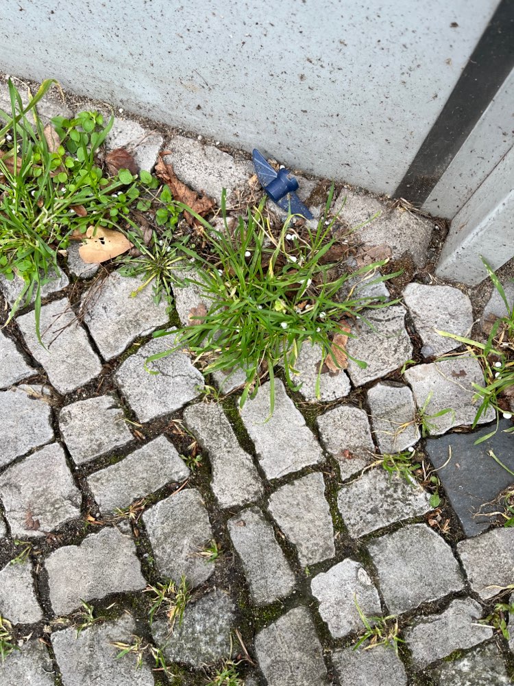 Giftköder-Weise Kügelchen-Profilbild