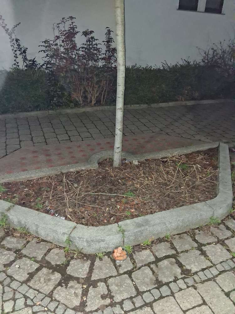 Giftköder-Plastikschüssel mit Würstchenscheiben-Profilbild