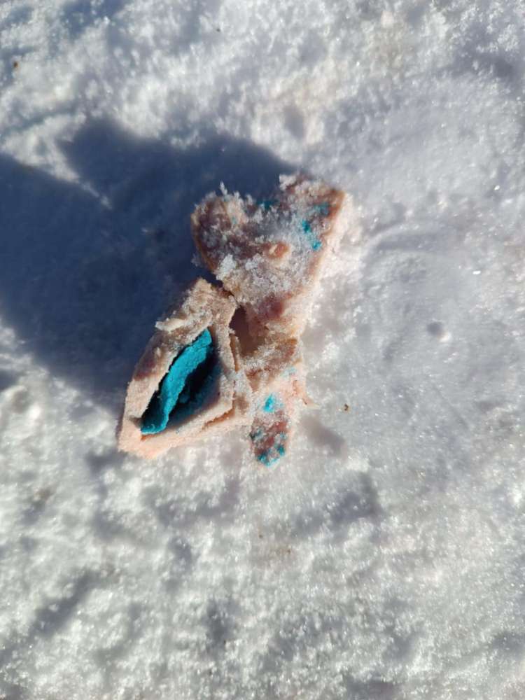 Giftköder-Giftköder-Profilbild