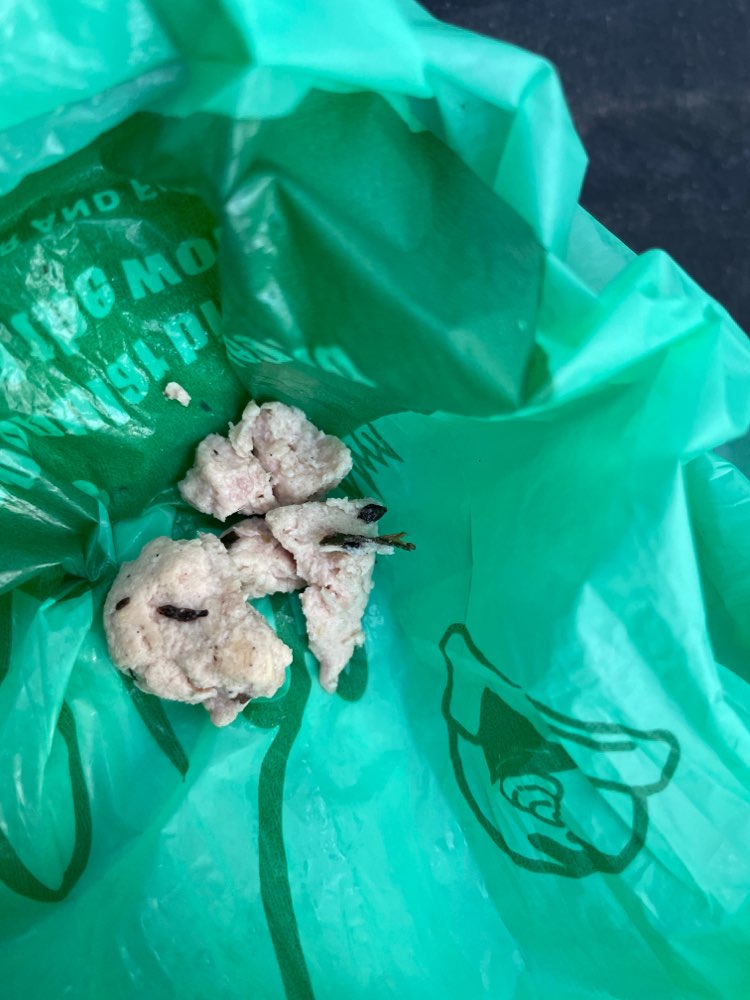 Giftköder-Eventuell Giftköder-Profilbild