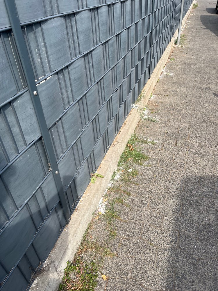 Giftköder-Weißes Pulver-Profilbild