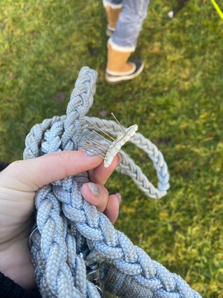 Giftköder-Nagelköder-Profilbild