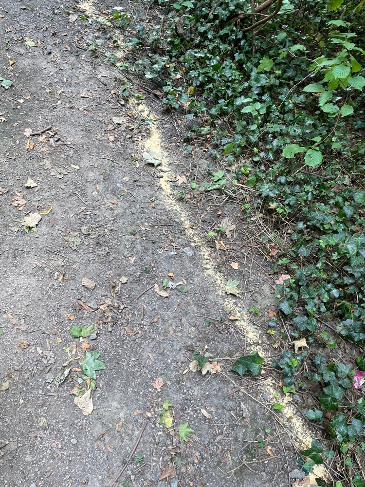 Giftköder-Unklare Substanz (beiges Granulat)?-Profilbild