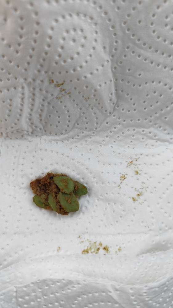 Giftköder-Möglicher Giftköder-Profilbild