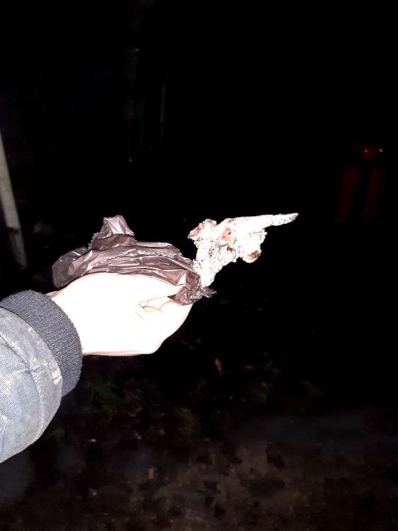 Giftköder-Giftköder-Profilbild