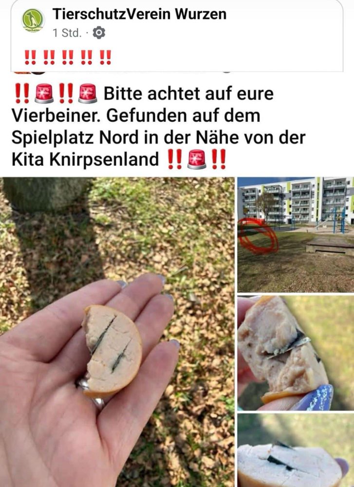 Giftköder-Giftköder-Profilbild