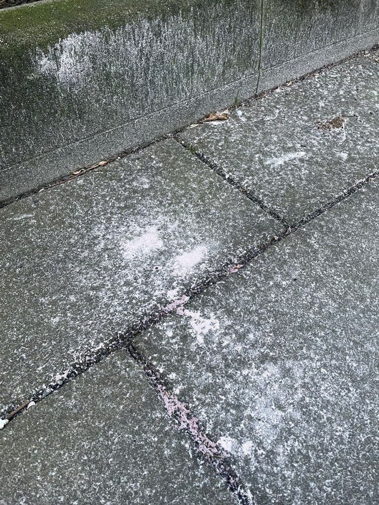 Giftköder-Seltsames helles Pulver-Profilbild