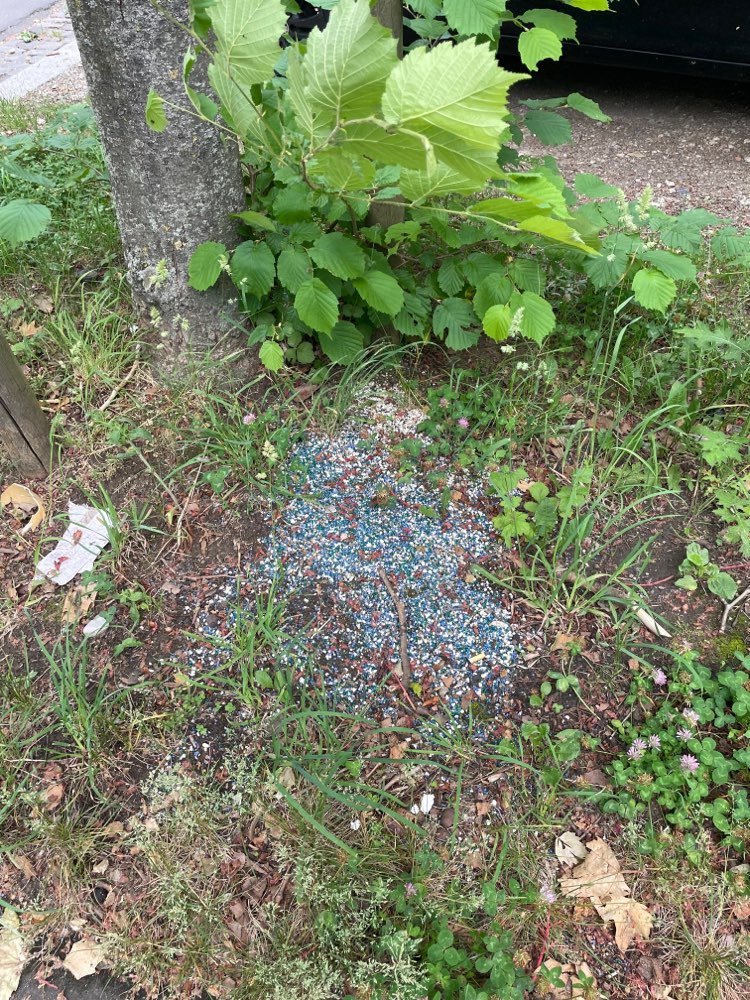 Giftköder-Dünger / Rattengift-Profilbild