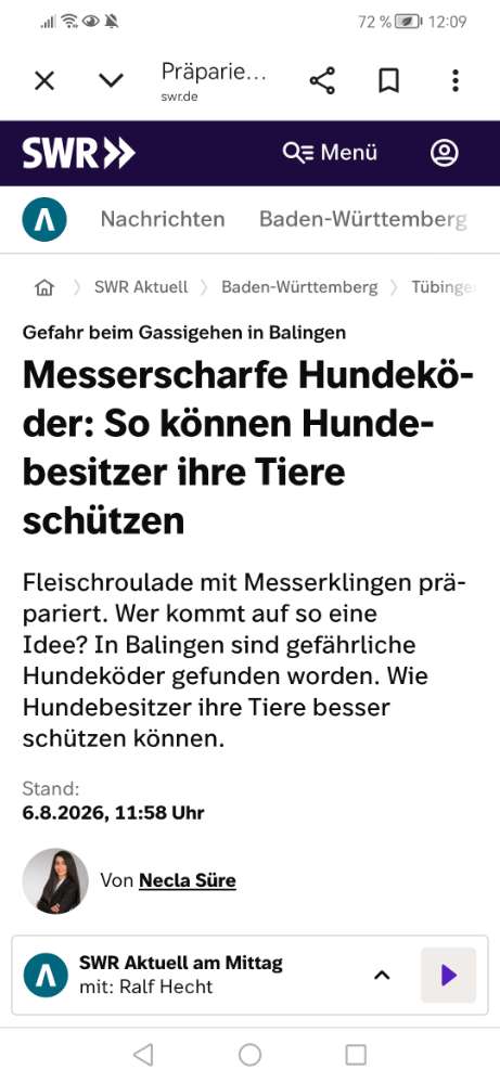 Giftköder-Fleischroulade mit Messerklingen-Profilbild