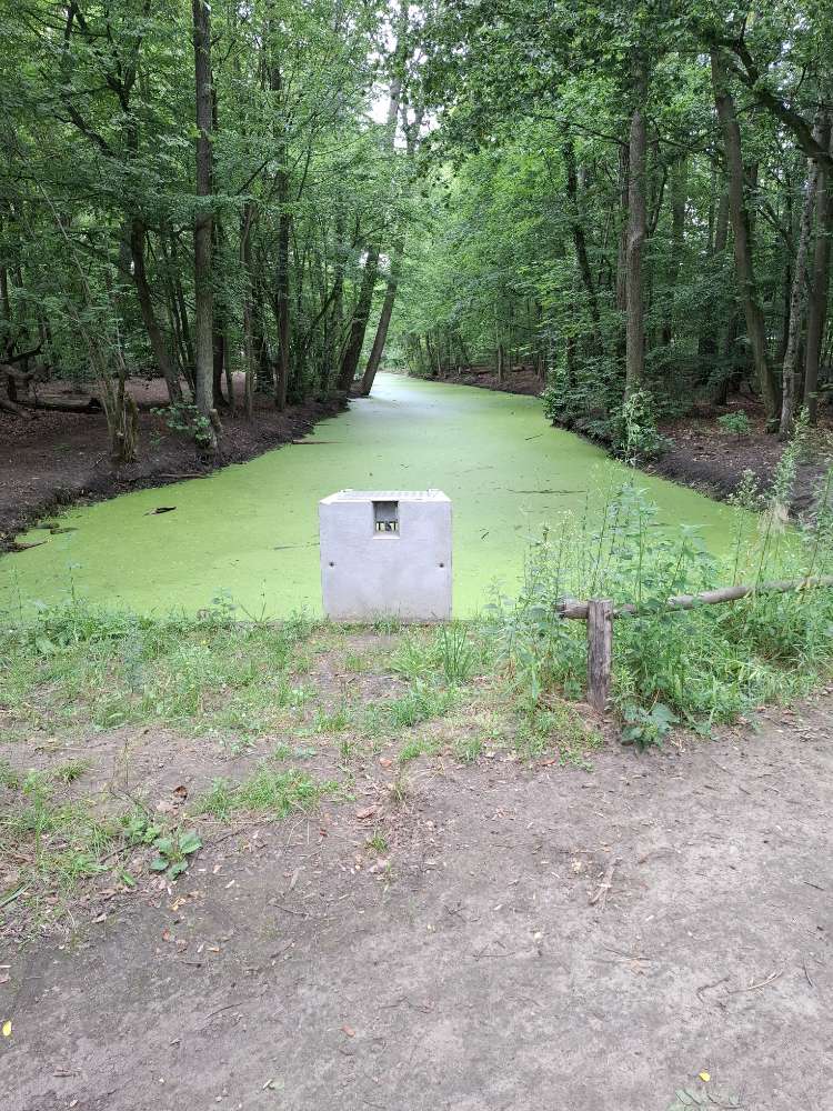 Giftköder-Blaualgengefahr-Profilbild