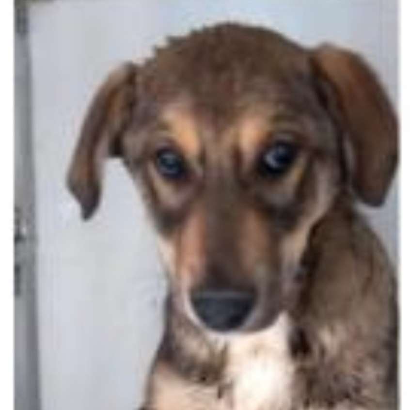 Suchmeldung-Tivo-Profilbild