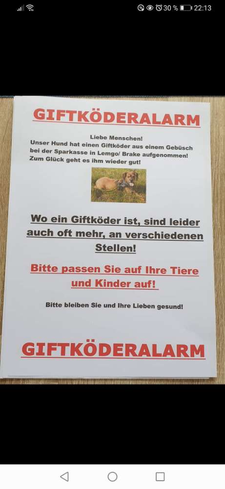 Giftköder-Giftkoder-Profilbild