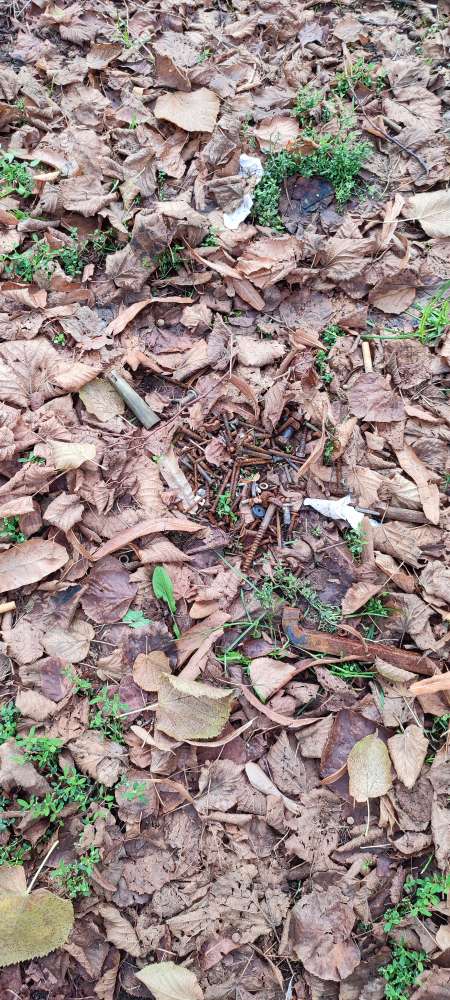 Giftköder-Nägel, Schrauben und Muttern-Profilbild