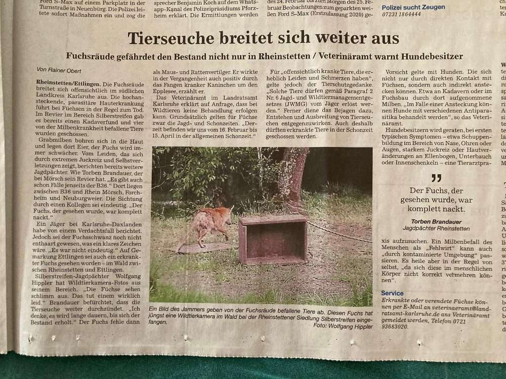 Giftköder-Fuchsräude !!!!!-Profilbild