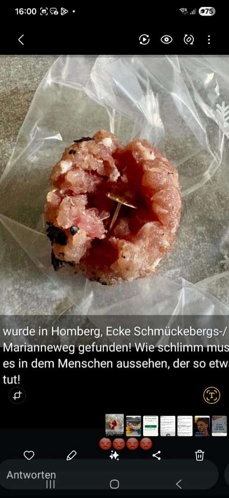 Giftköder-Mit Reißzwecke gefülltes Hackfleisch-Profilbild