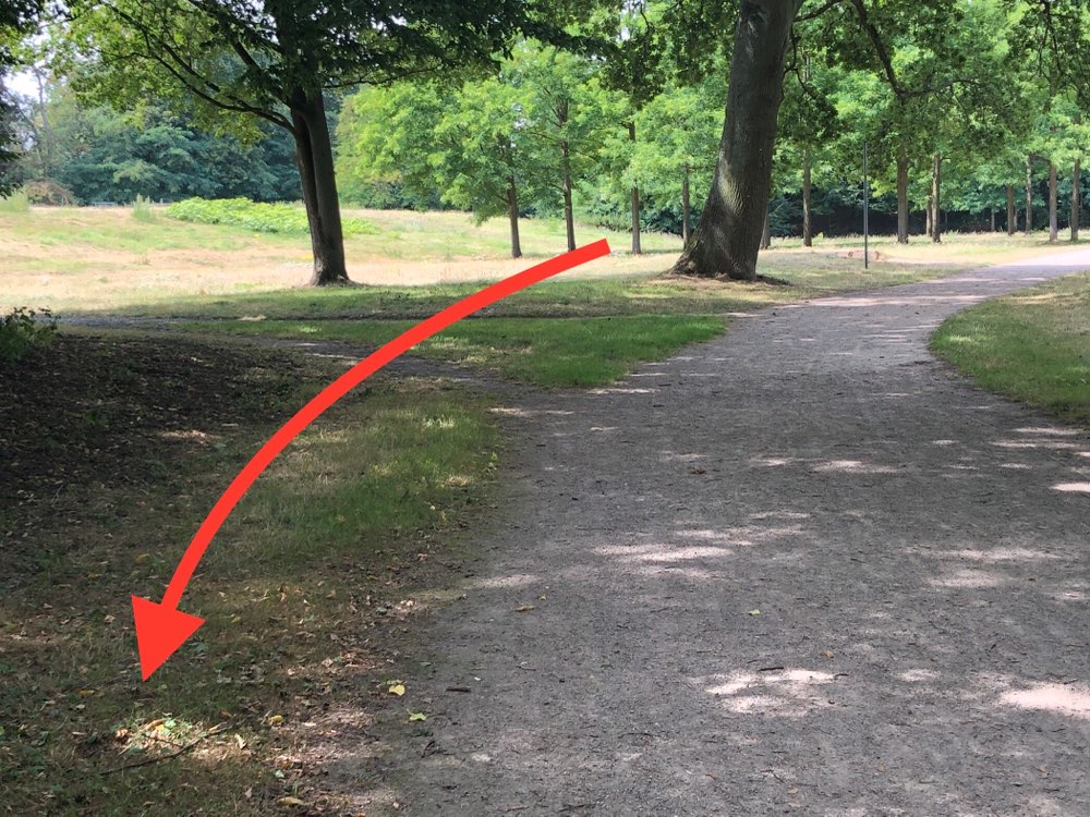 Giftköder-Erdwespen Stammheim Fort XII-Profilbild