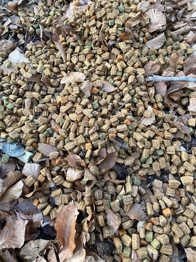 Giftköder-Hundefutter-Profilbild