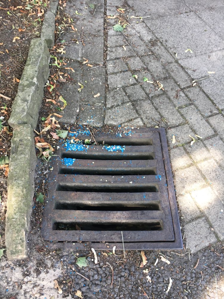 Giftköder-Evtl. Rattengift/Schneckenkorn am Gulli-Profilbild