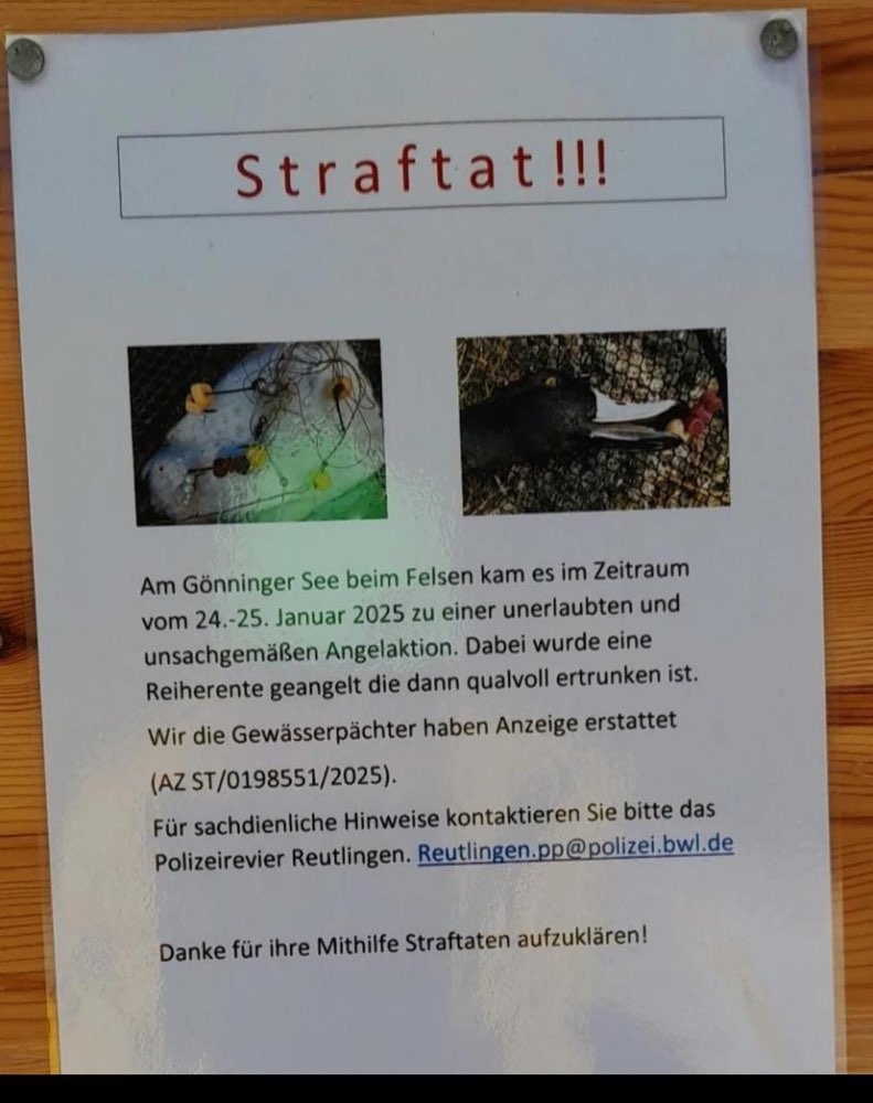 Giftköder-Tierquälerei-Profilbild