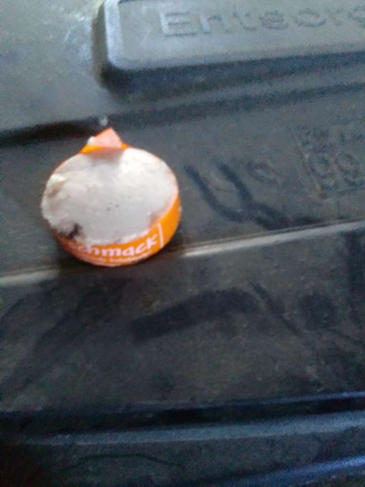 Giftköder-Evtl. Giftköder-Profilbild