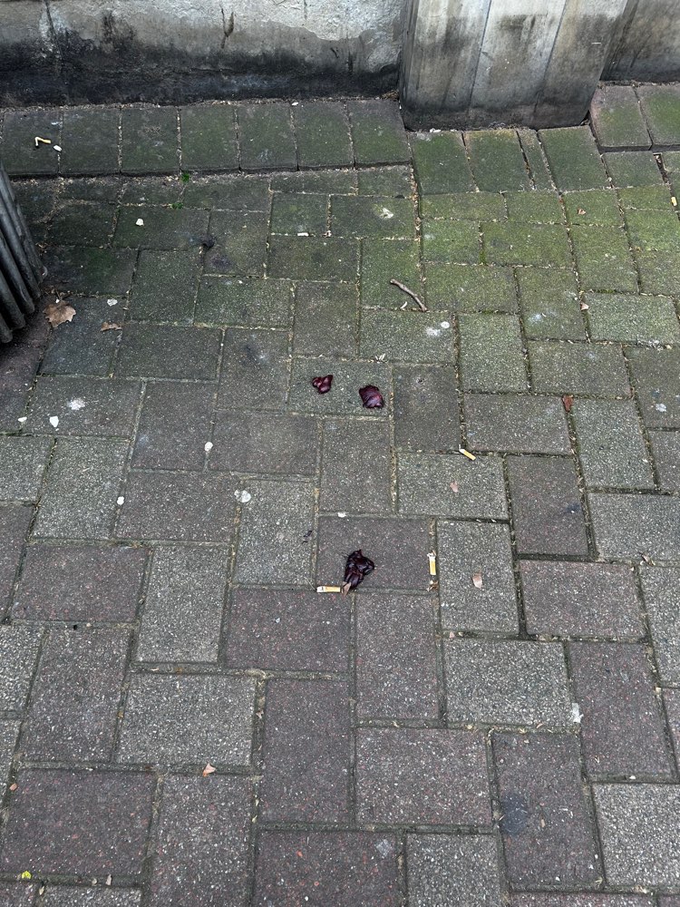 Giftköder-Innereien neben dem Mülleimer-Profilbild