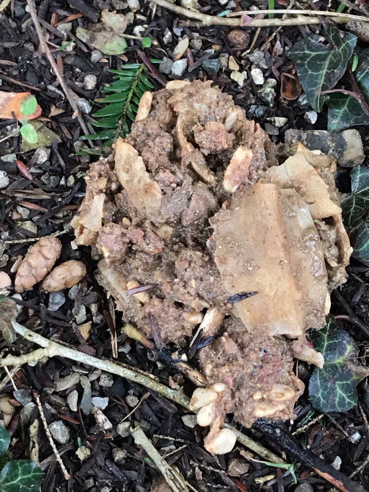 Giftköder-Achtung !!! Verdächtige Masse!-Profilbild