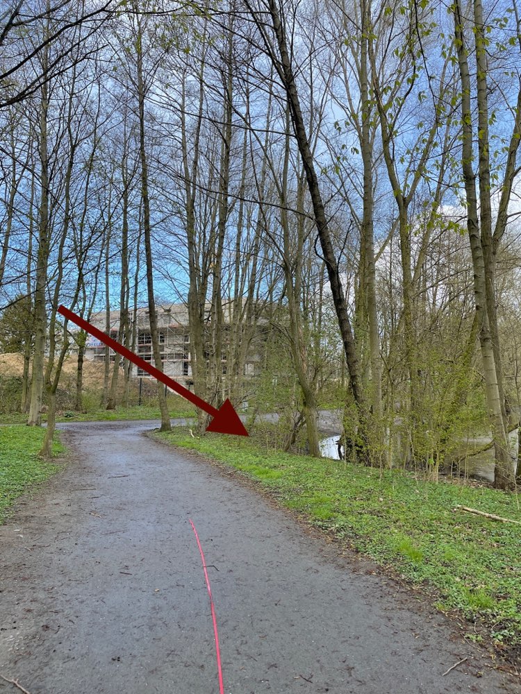 Giftköder-Ausgelegter Fisch-Profilbild