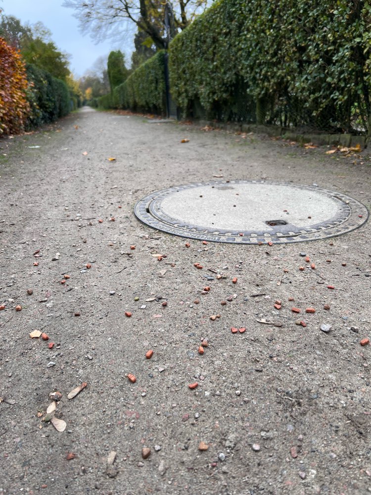 Giftköder-Hunderte von Leckerlies!!!-Profilbild