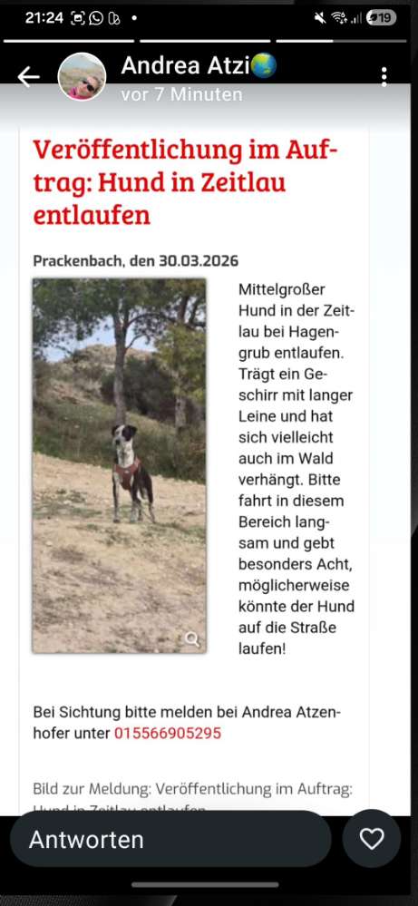 Suchmeldung-Klara-Profilbild