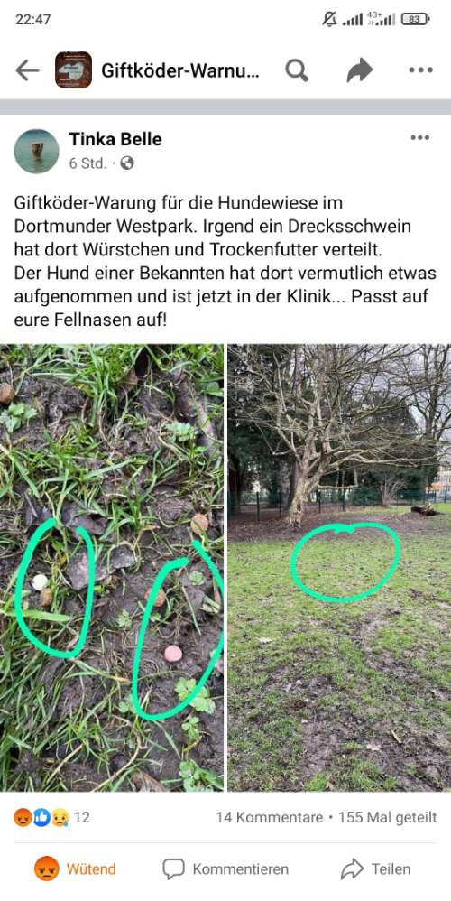 Giftköder-Westpark Dortmund-Profilbild
