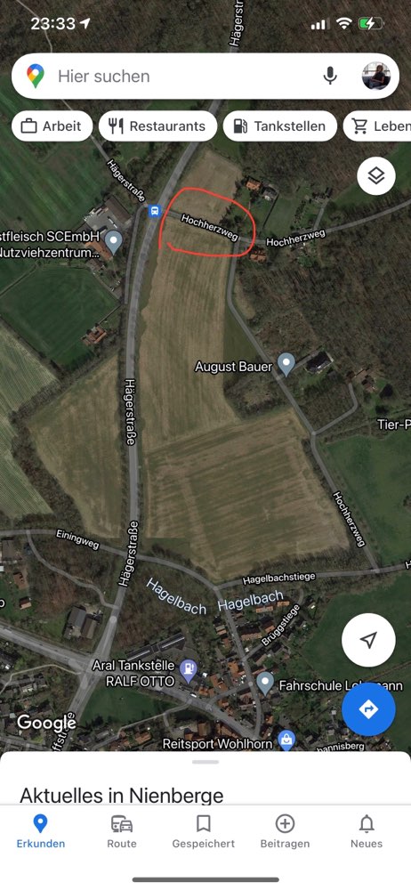 Giftköder-Eichenprozessionsspinnernester-Profilbild