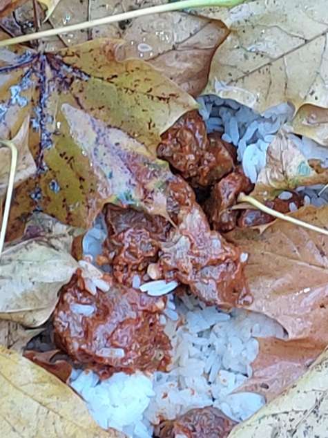 Giftköder-Verdächtiges Essen-Profilbild